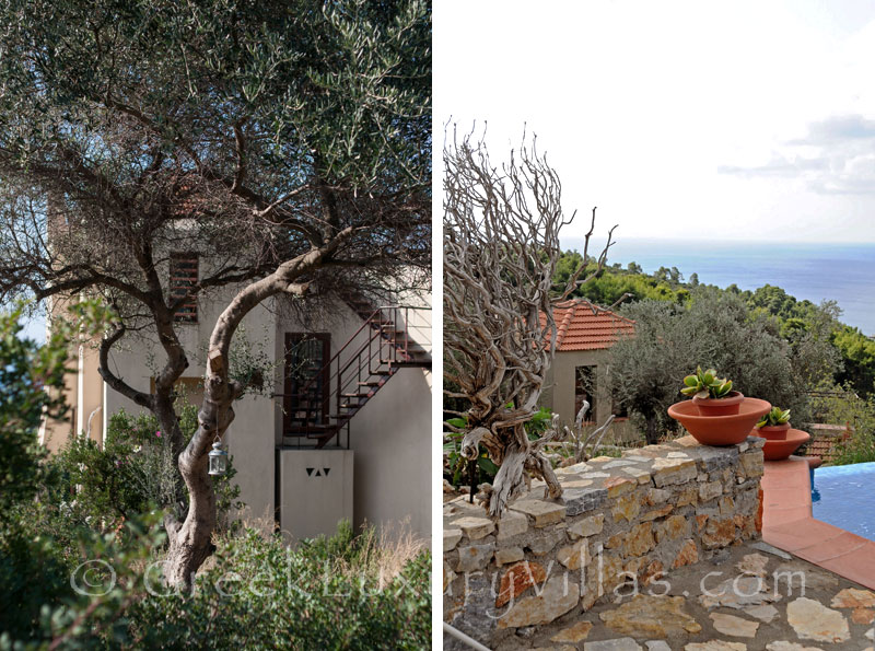 Garden with Sea View at Luxury Villa