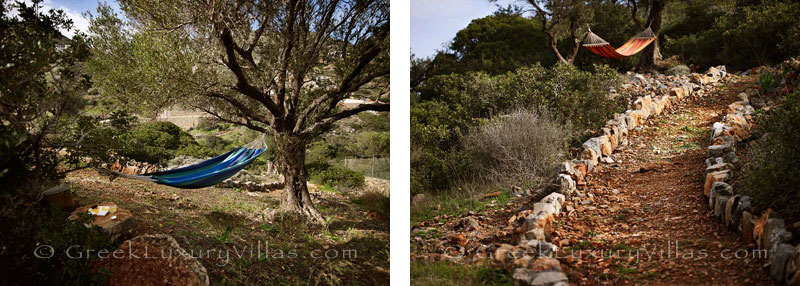 The extensive garden of a big luxury villa in Elpounda, Crete