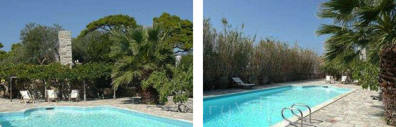 Swimming pool of villa for extensive groups on Syros